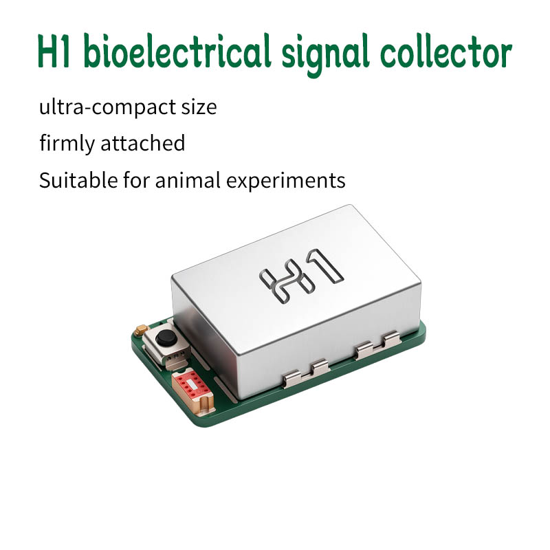 Muscle Sensor Emg - Modulo di Acquisizione EEG EMG H1,
